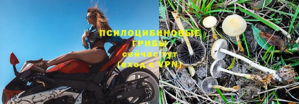спайс Алексеевка