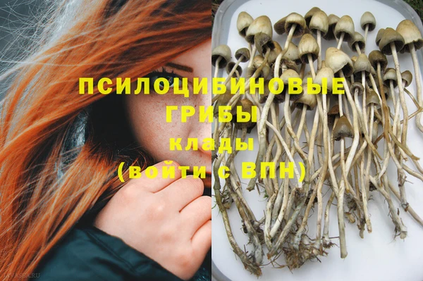 спайс Алексеевка