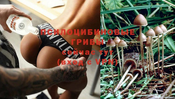 спайс Алексеевка